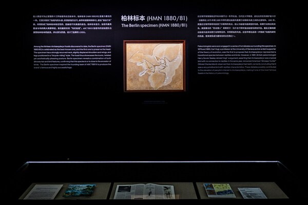 复刻的始祖鸟化石柏林样本